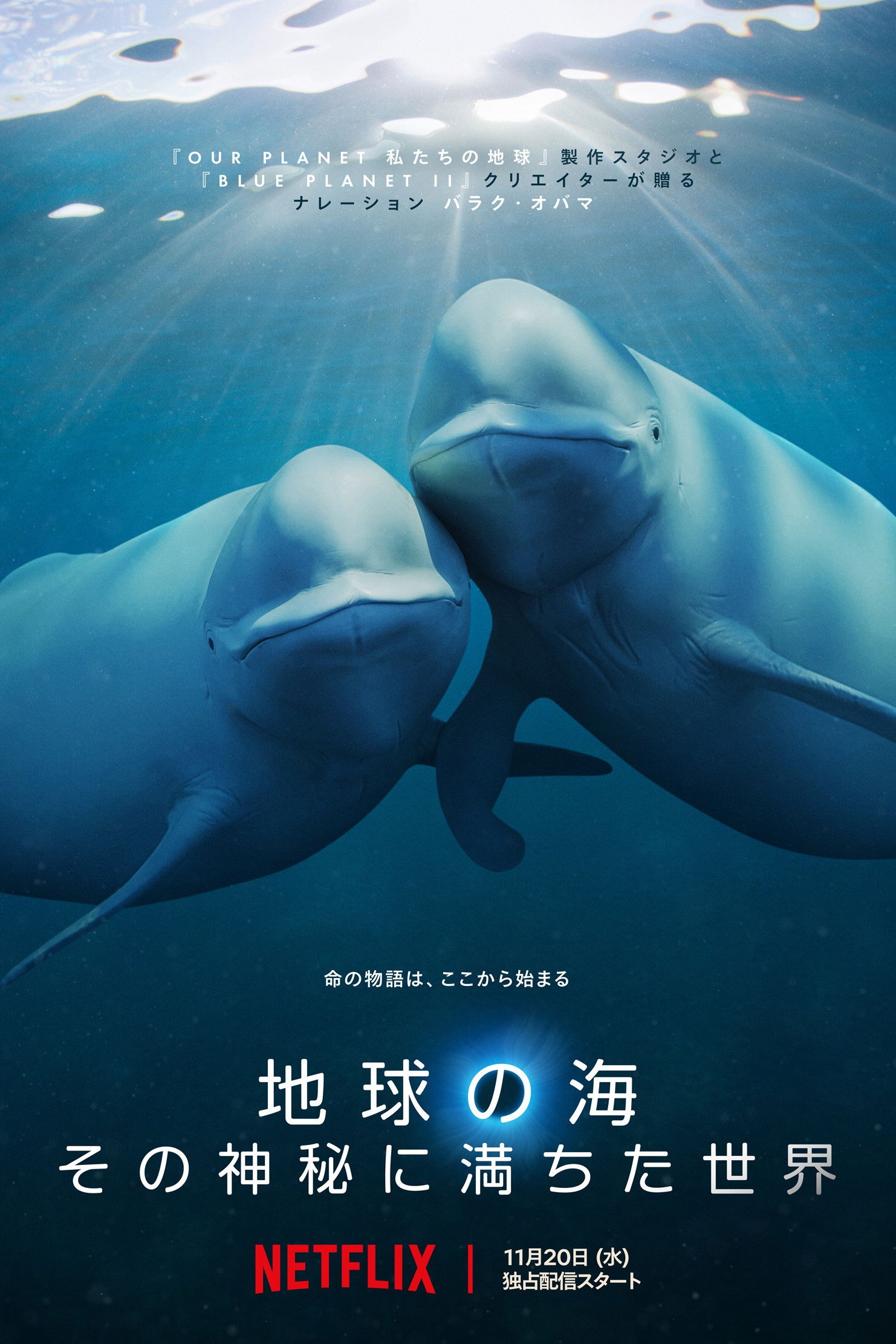 地球の海