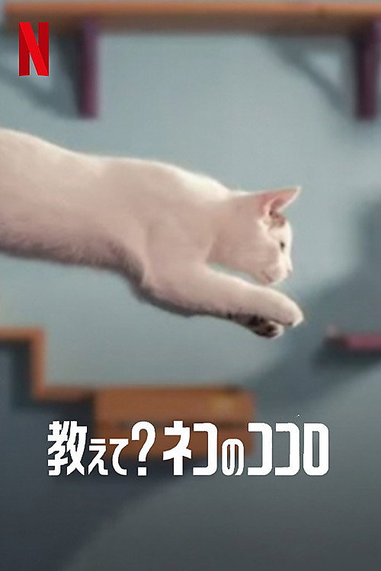 猫はなぜ猫なのか？