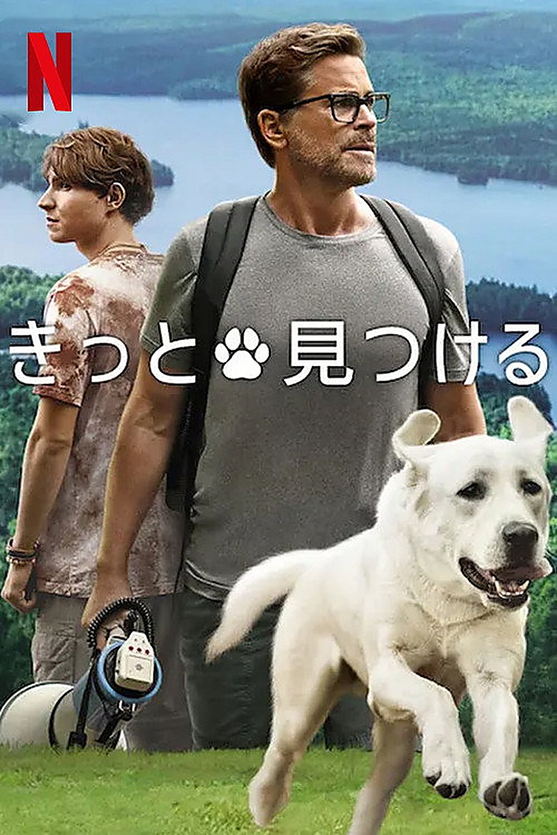うちの犬を探しています