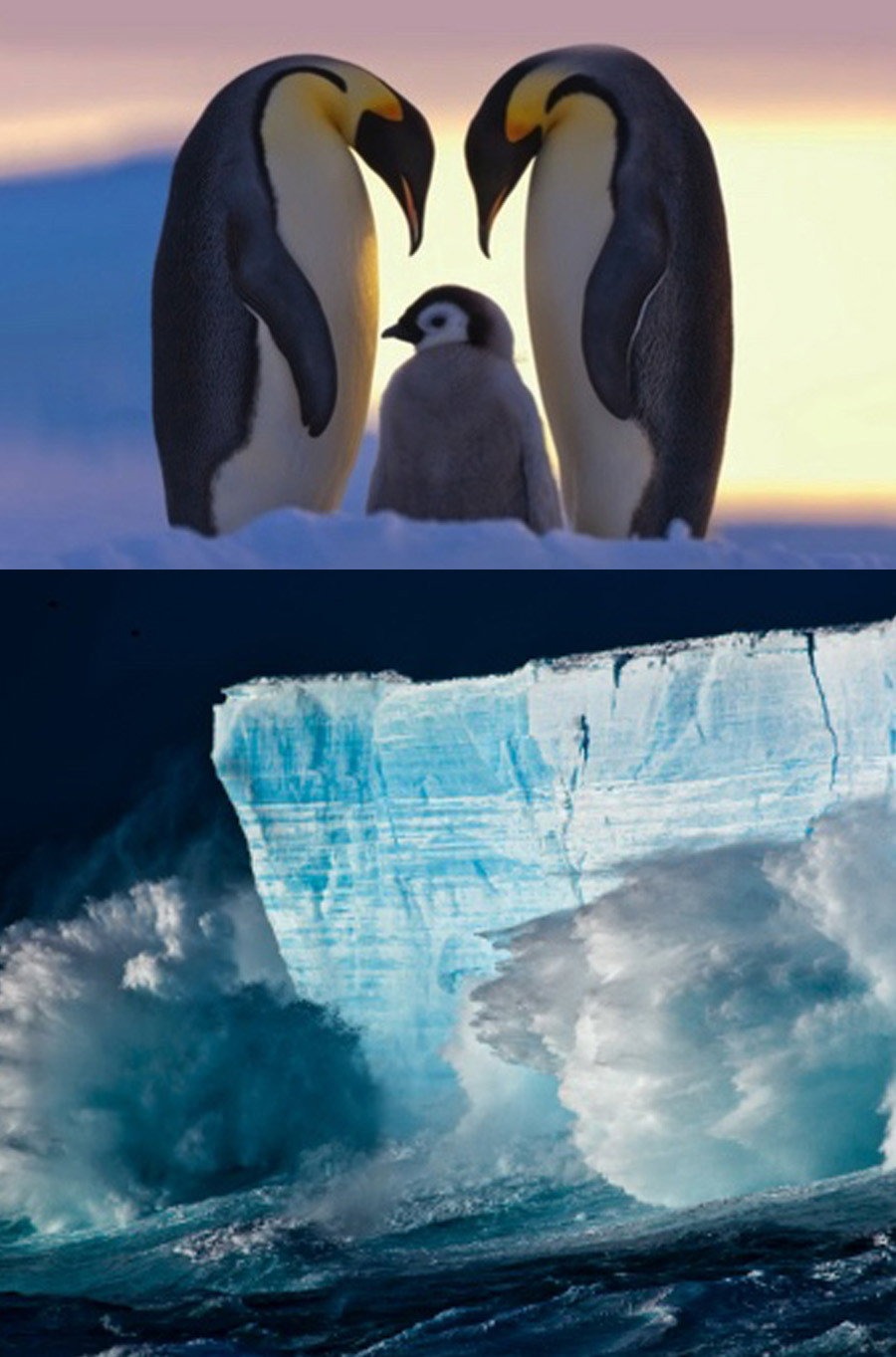 From the End of the World