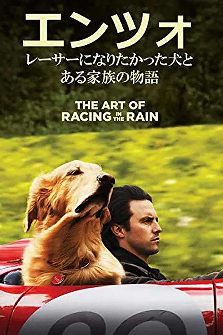 レーシング・イン・ザ・レイン