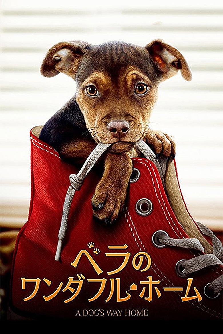 ザ・ウェイ・ホーム