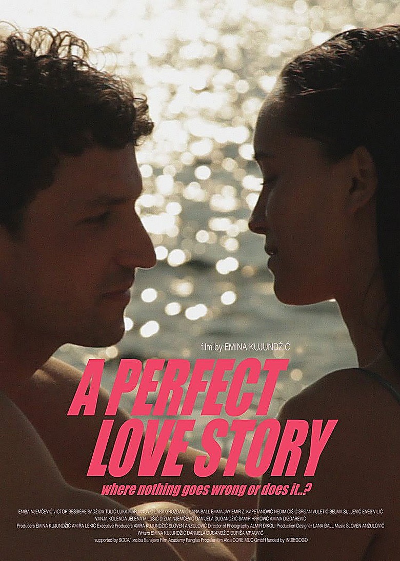 A Perfect Story