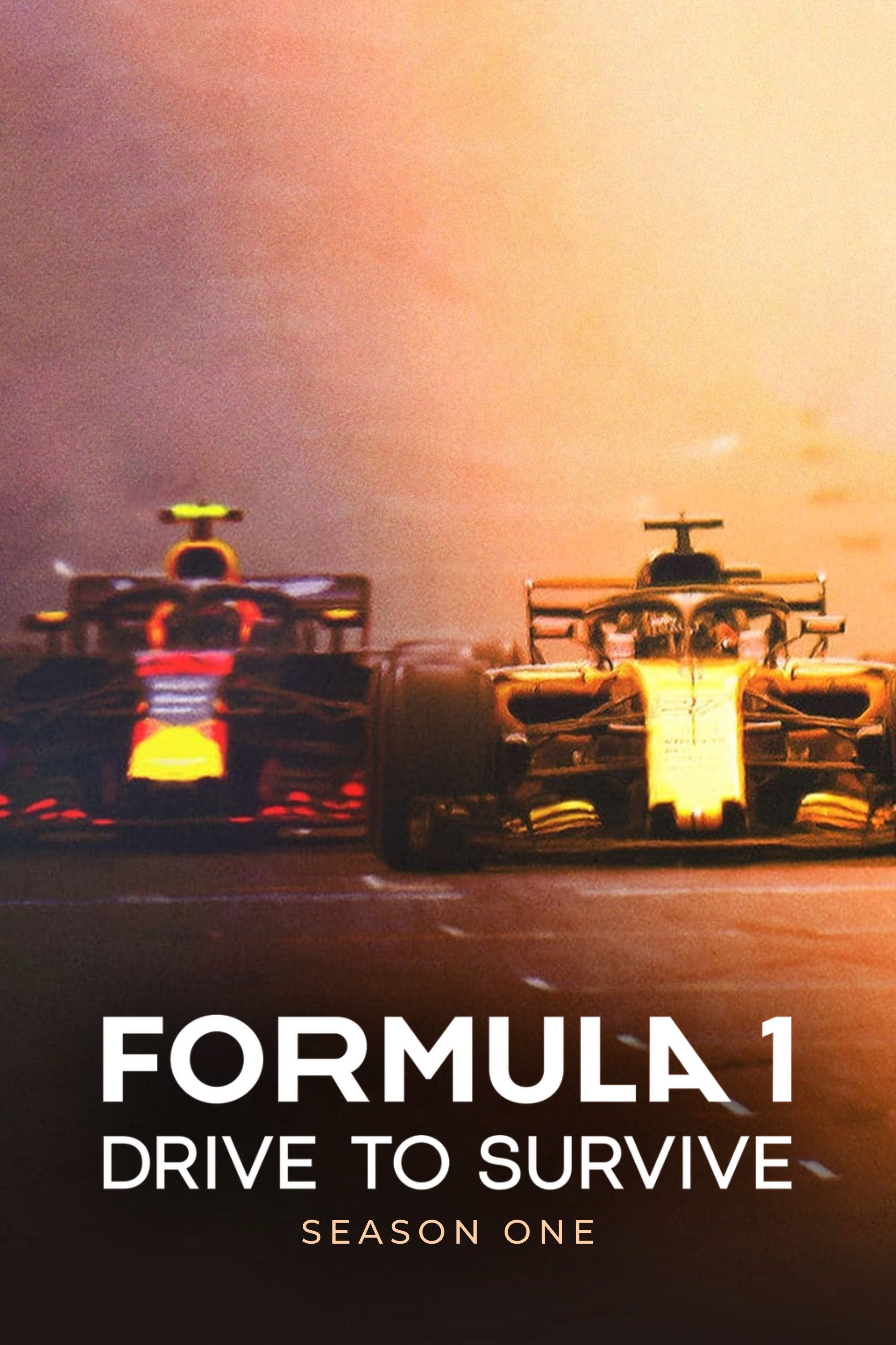 F1: 本能のドライビング