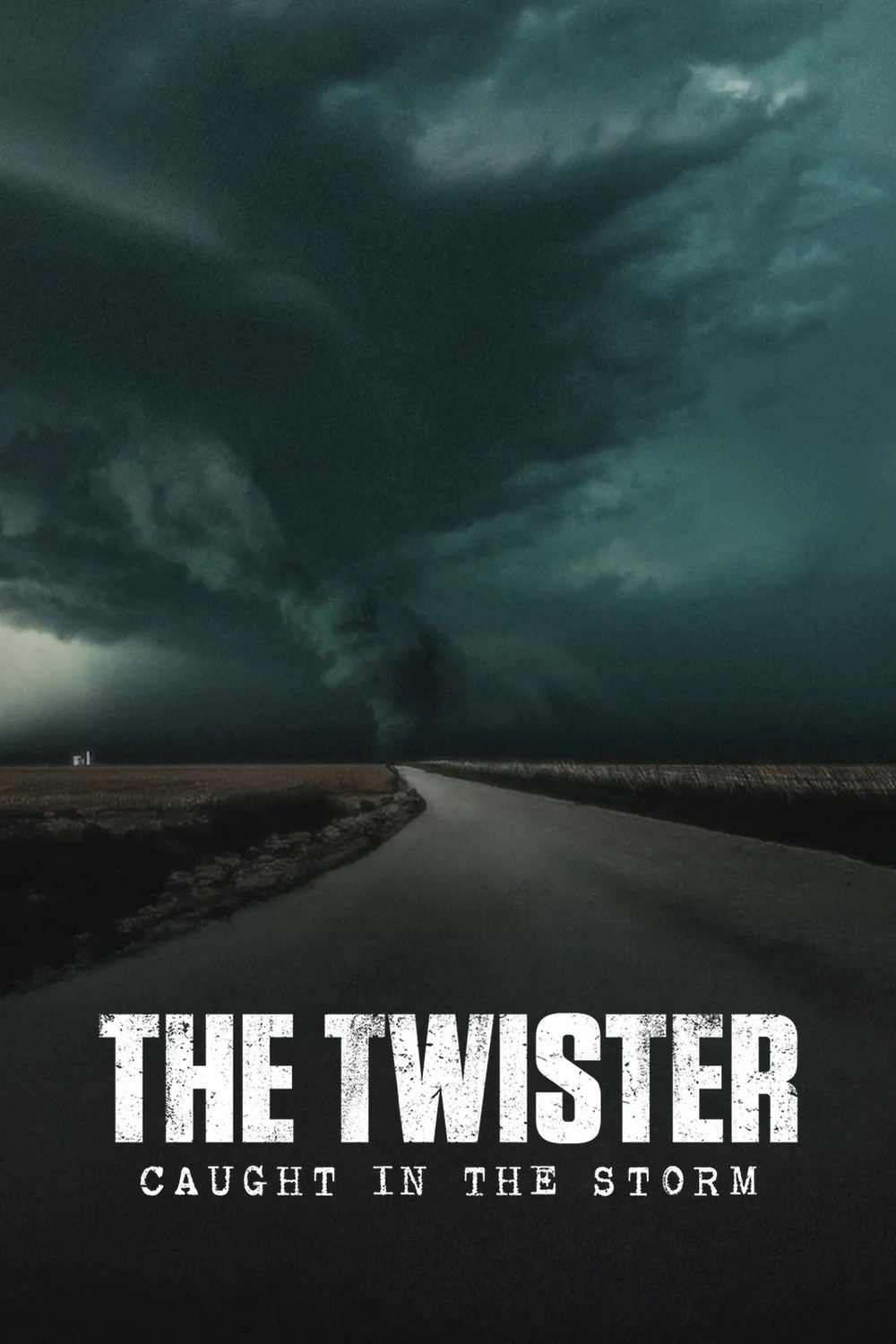 THE TWISTER: CAUGHT IN THE STORM